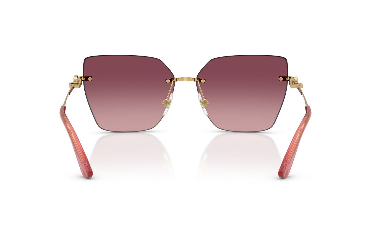 Dolce & Gabbana DG 2321