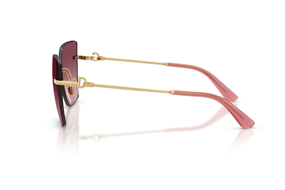 Dolce & Gabbana DG 2321