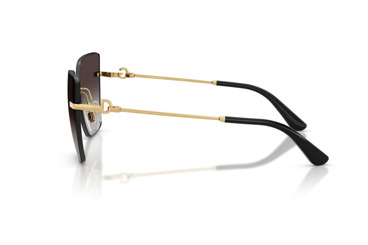 Dolce & Gabbana DG 2321