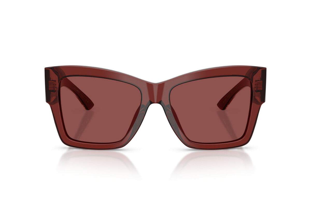 Dolce & Gabbana DG 4493