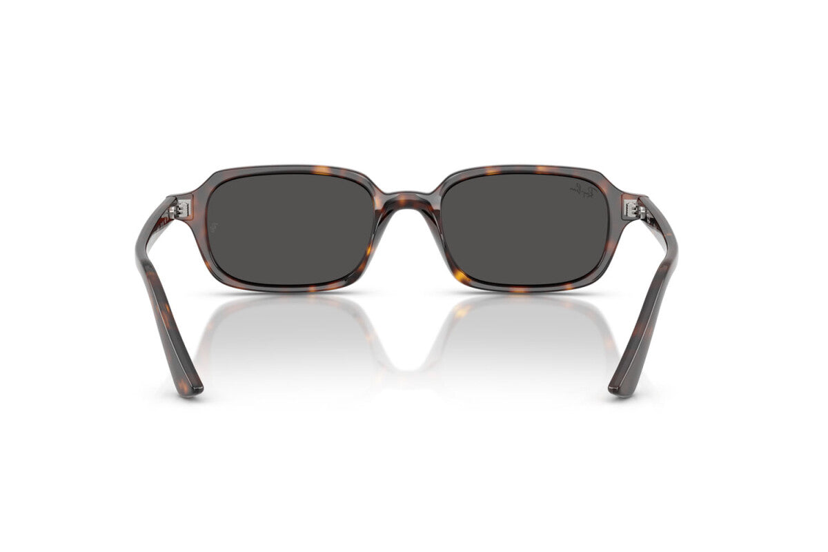 Ray-Ban RB 4455