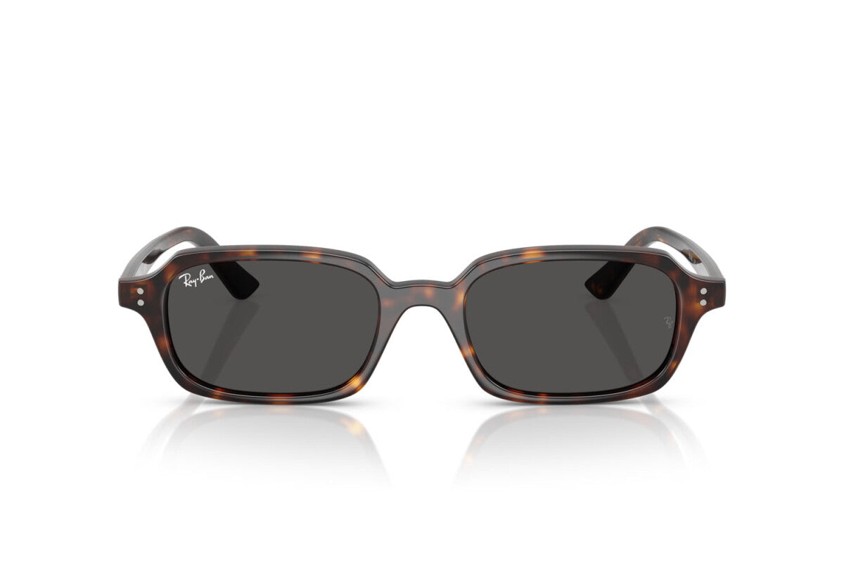 Ray-Ban RB 4455