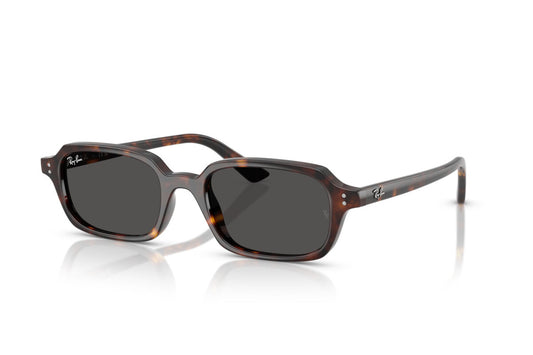 Ray-Ban RB 4455