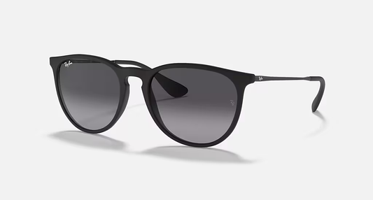Ray-Ban Erika Classic