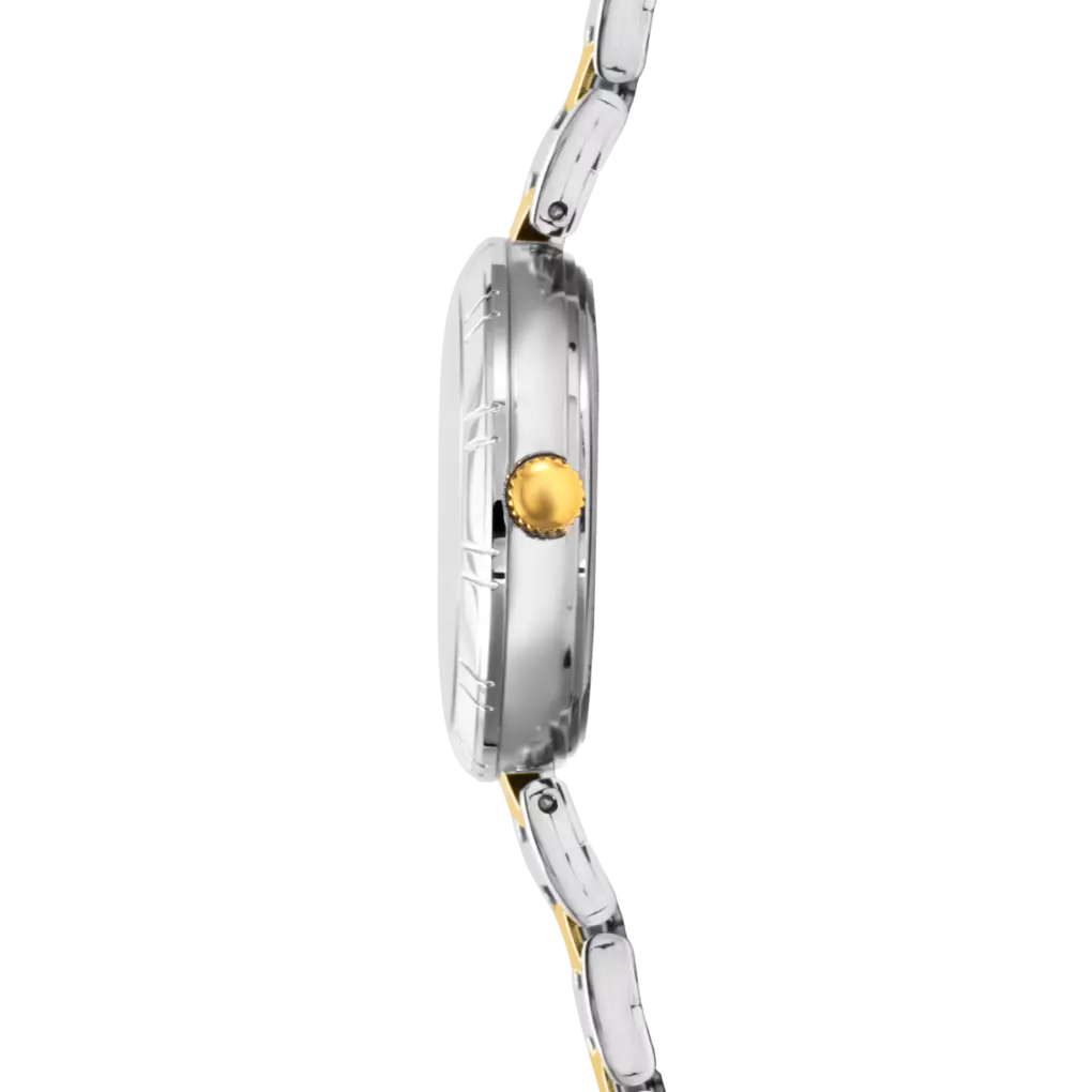 Montre Festina Mademoiselle F16937/G