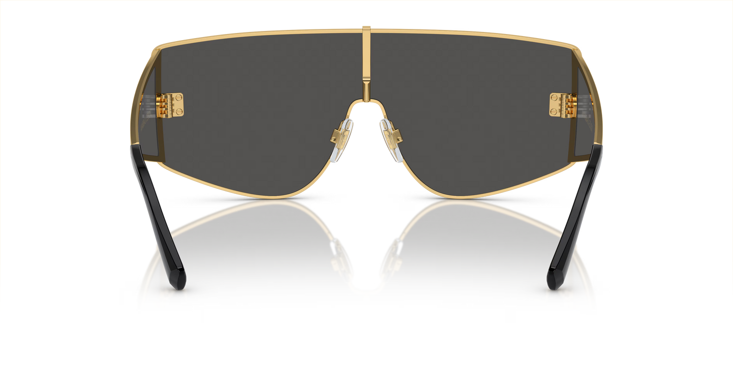 Dolce & Gabbana DG2305