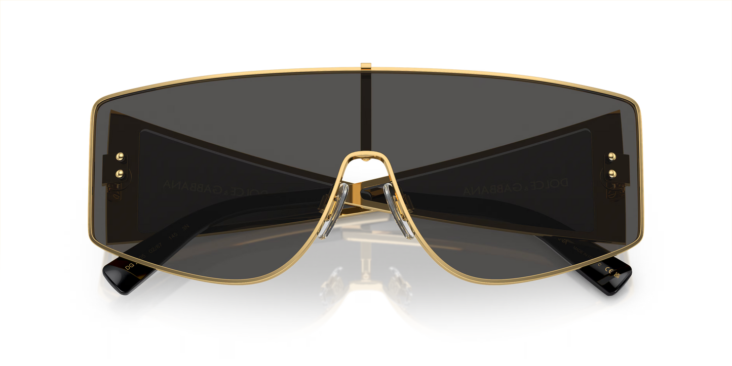 Dolce & Gabbana DG2305