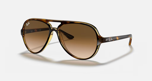 Ray-Ban Cats 5000 Classic