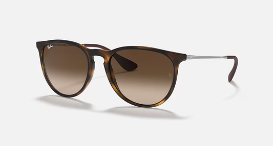 Ray-Ban RB4171 Erika
