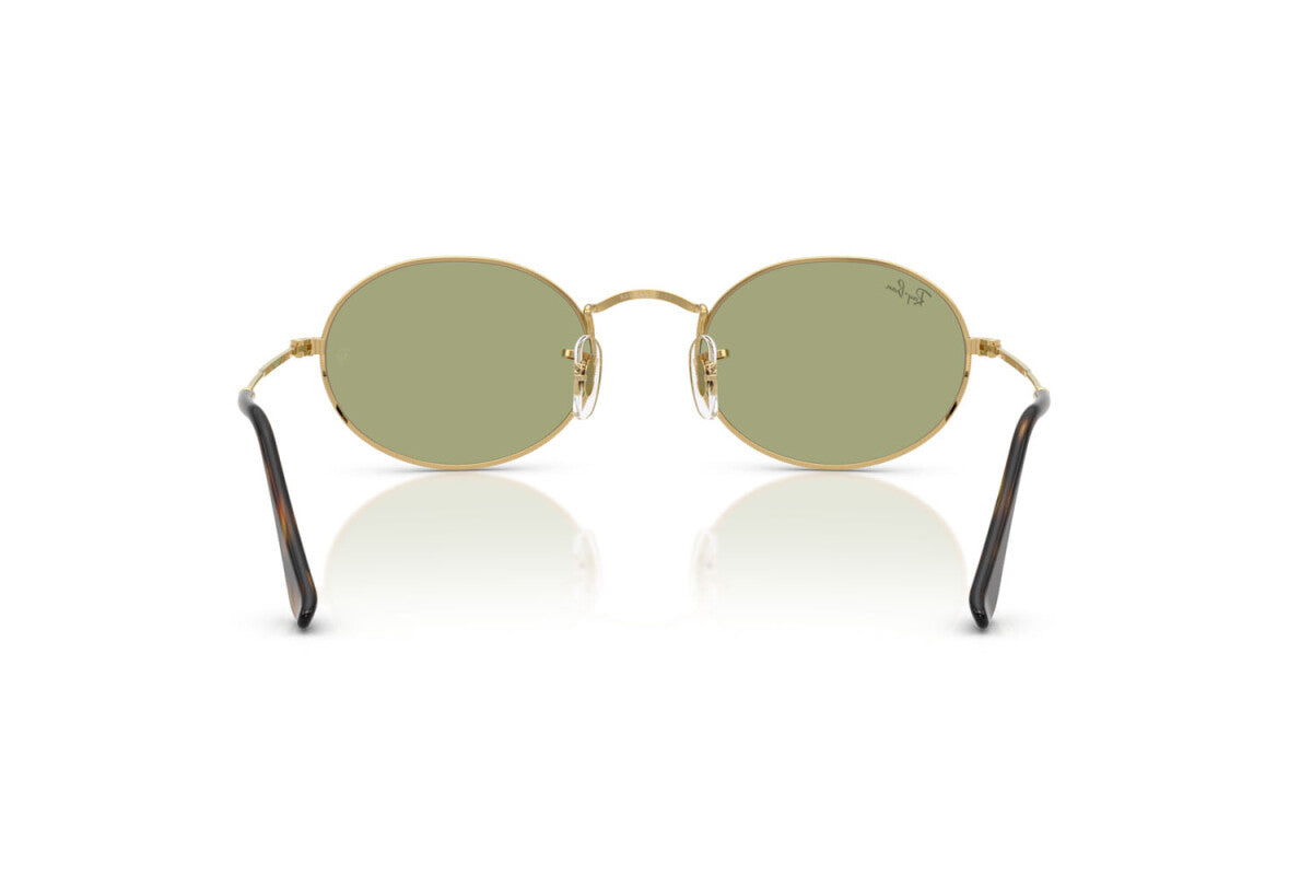 Ray-Ban RB 3547