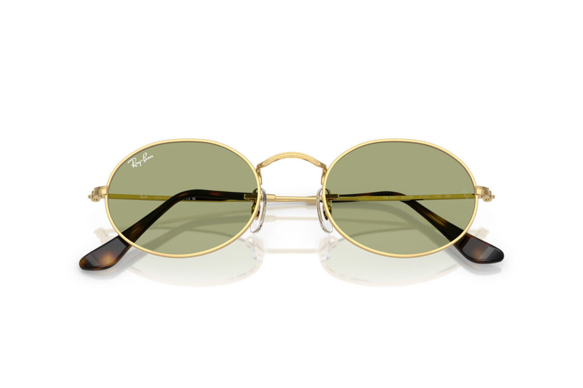 Ray-Ban RB 3547