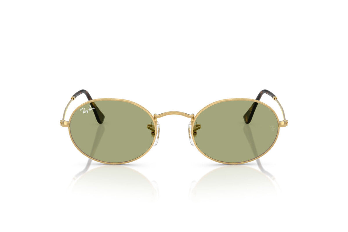 Ray-Ban RB 3547