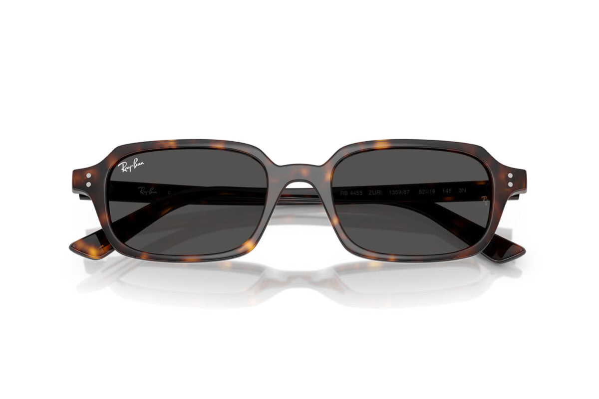 Ray-Ban RB 4455