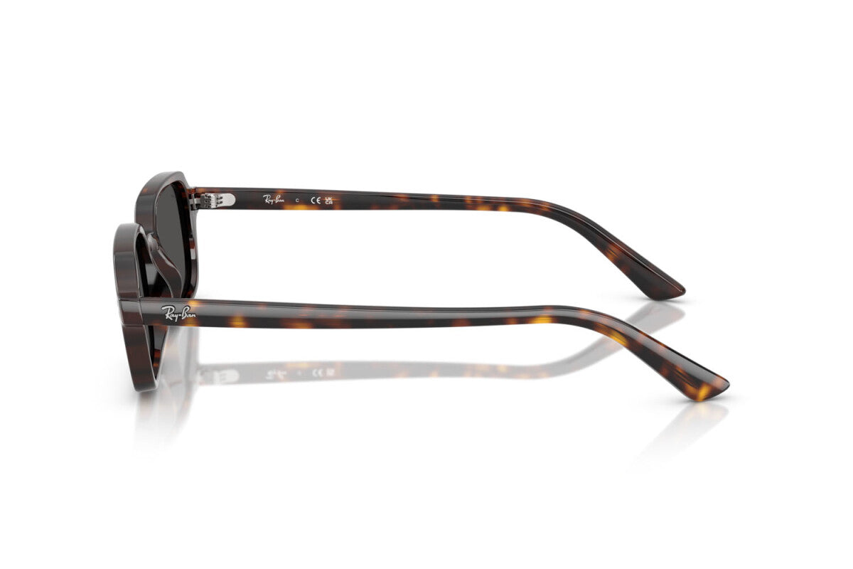 Ray-Ban RB 4455