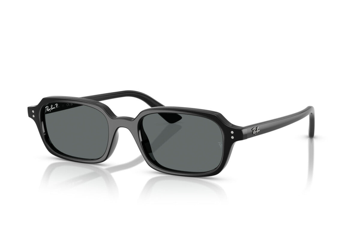 Ray-Ban RB 4455