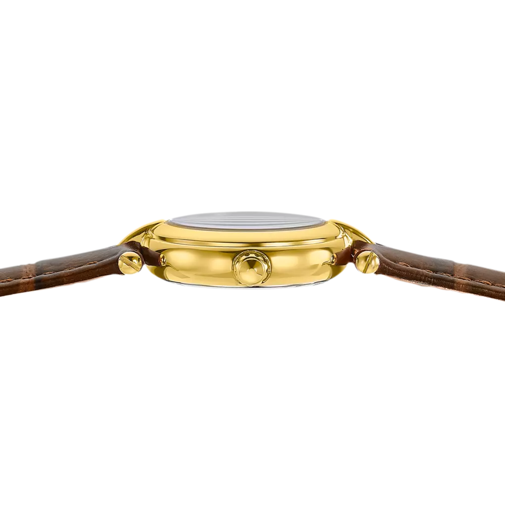 Montre Festina Mademoiselle F20788/2