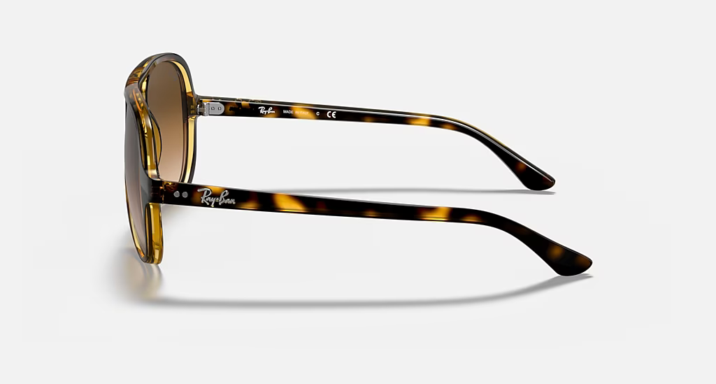 Ray-Ban Cats 5000 Classic