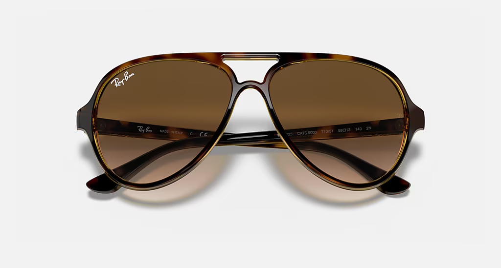 Ray-Ban Cats 5000 Classic