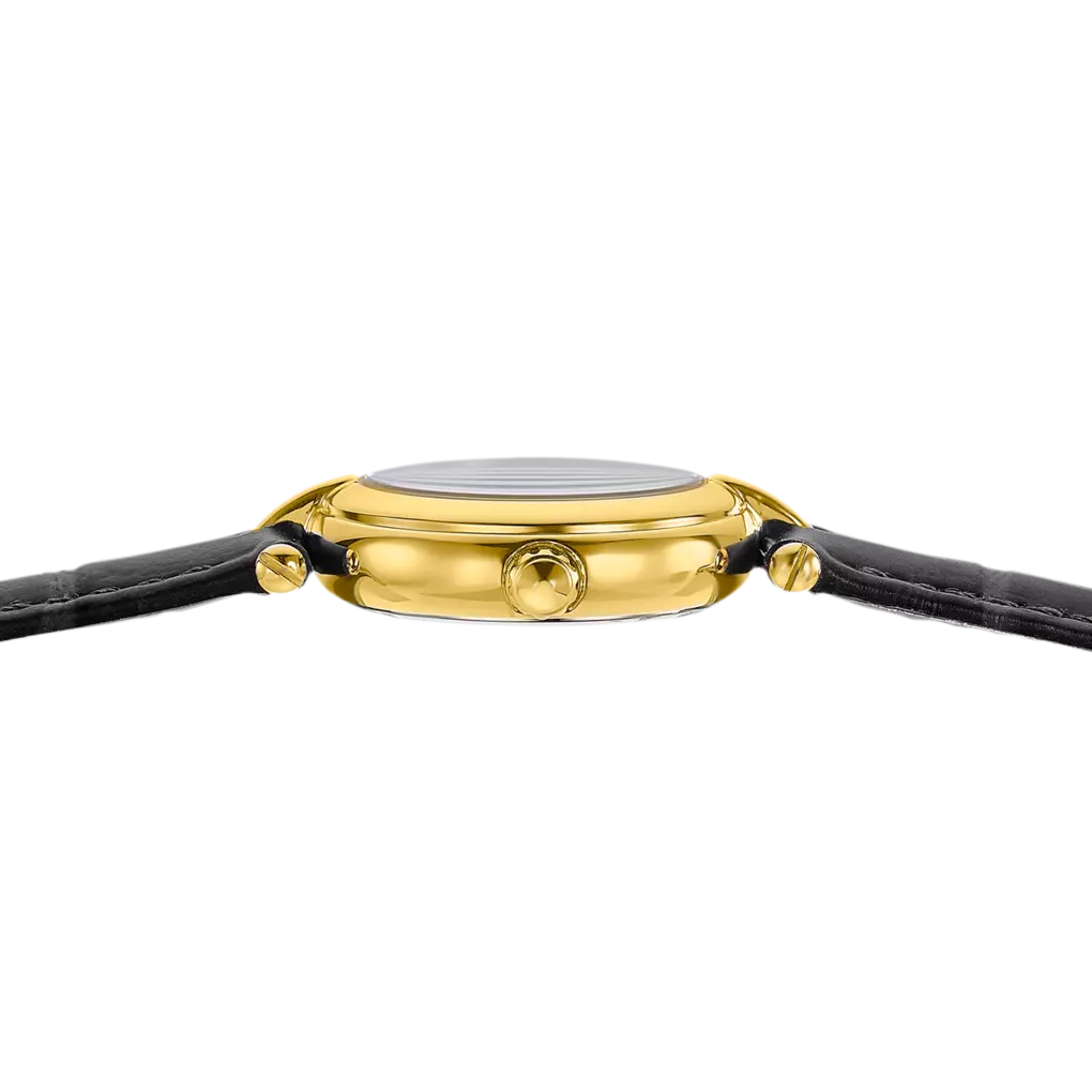 Montre Festina Mademoiselle F20788/1