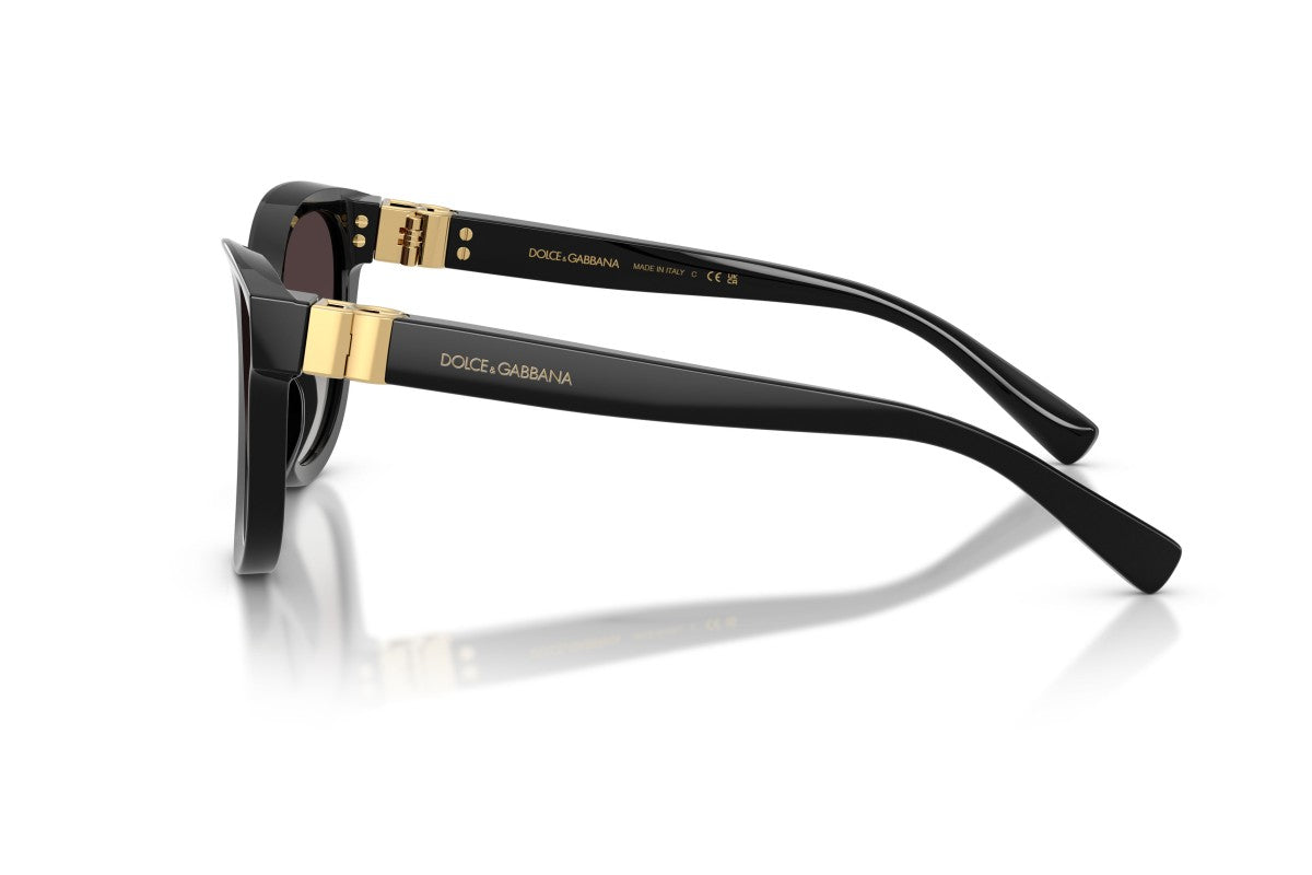 Dolce & Gabbana DG 4533