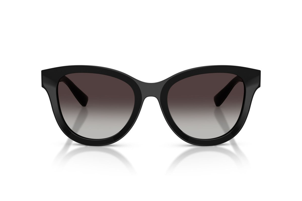 Dolce & Gabbana DG 4533