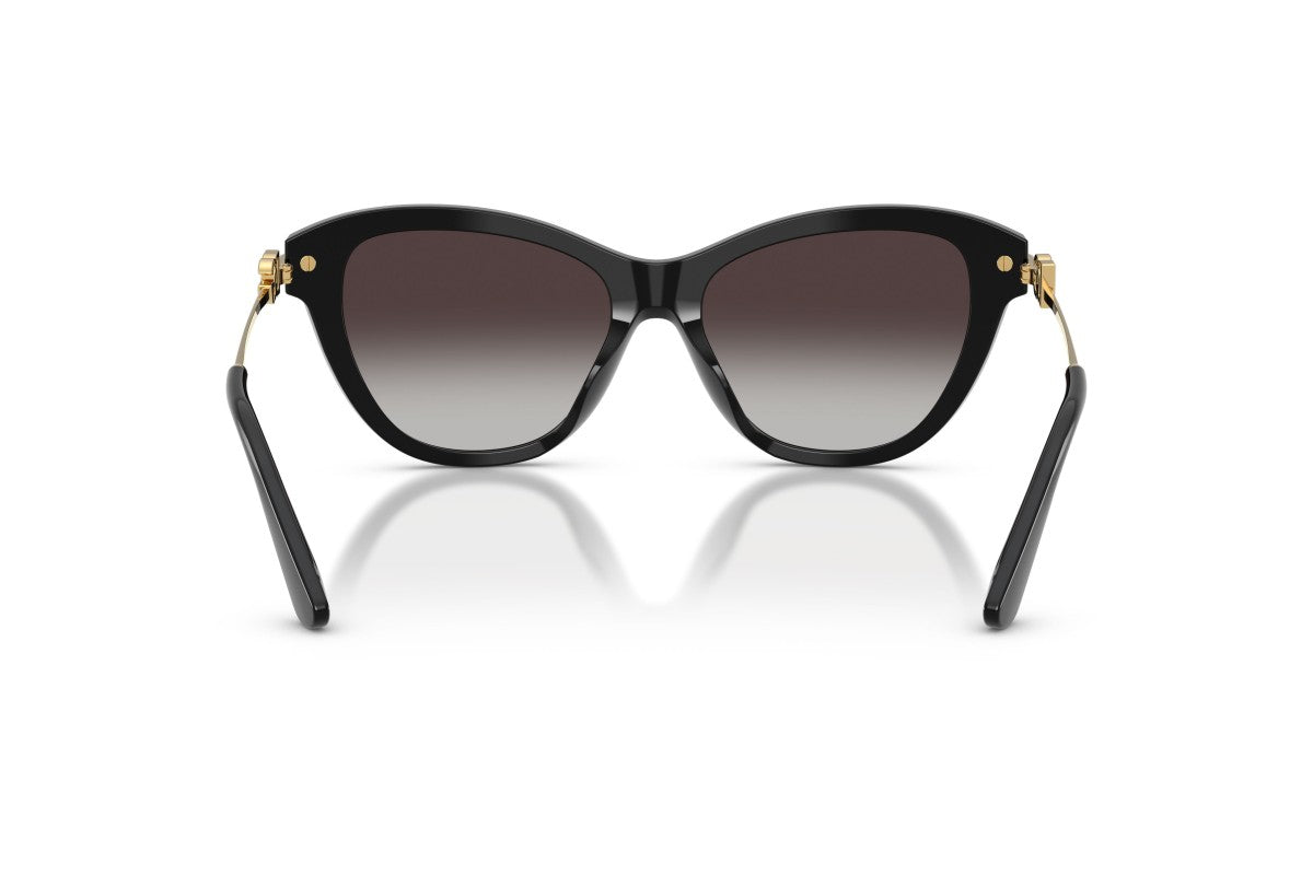 Dolce & Gabbana DG 4534