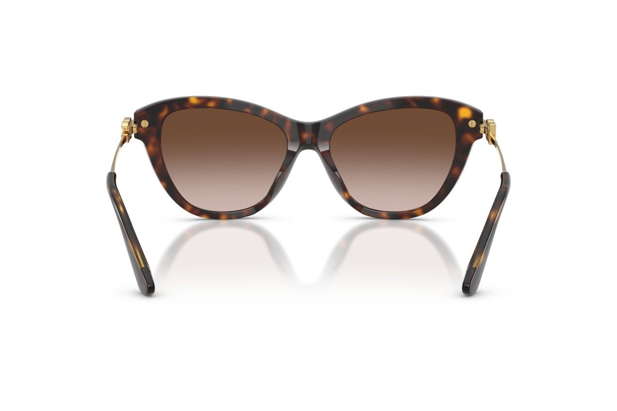 Dolce & Gabbana DG 4534