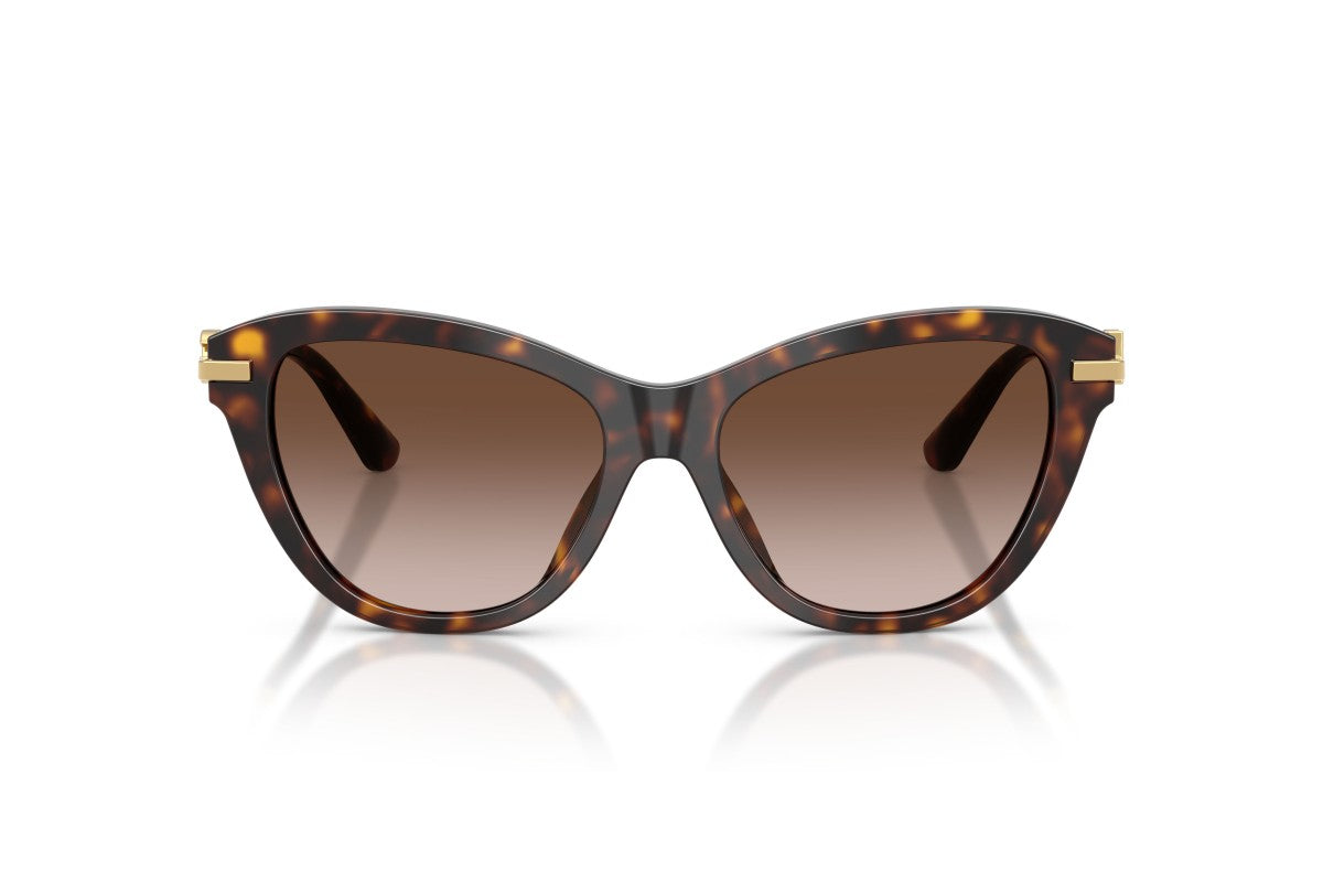 Dolce & Gabbana DG 4534