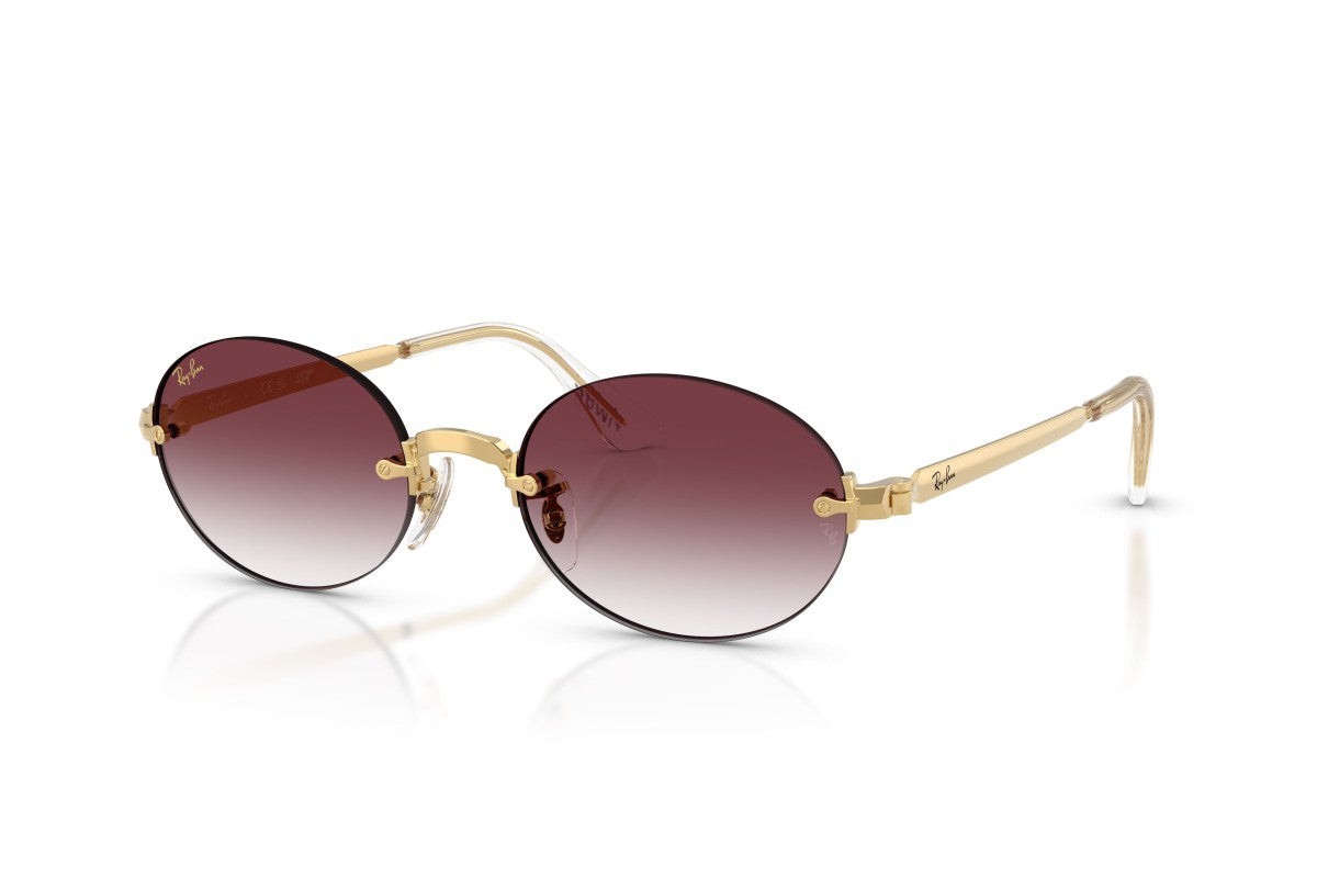 Ray-Ban by A$AP Rocky RB3929