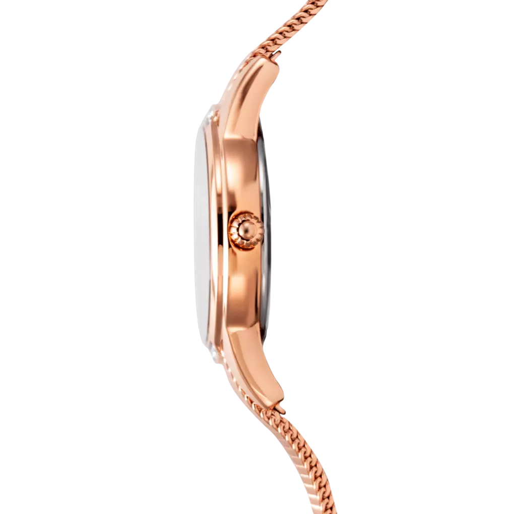 Montre femme Festina Mademoiselle F20496/1