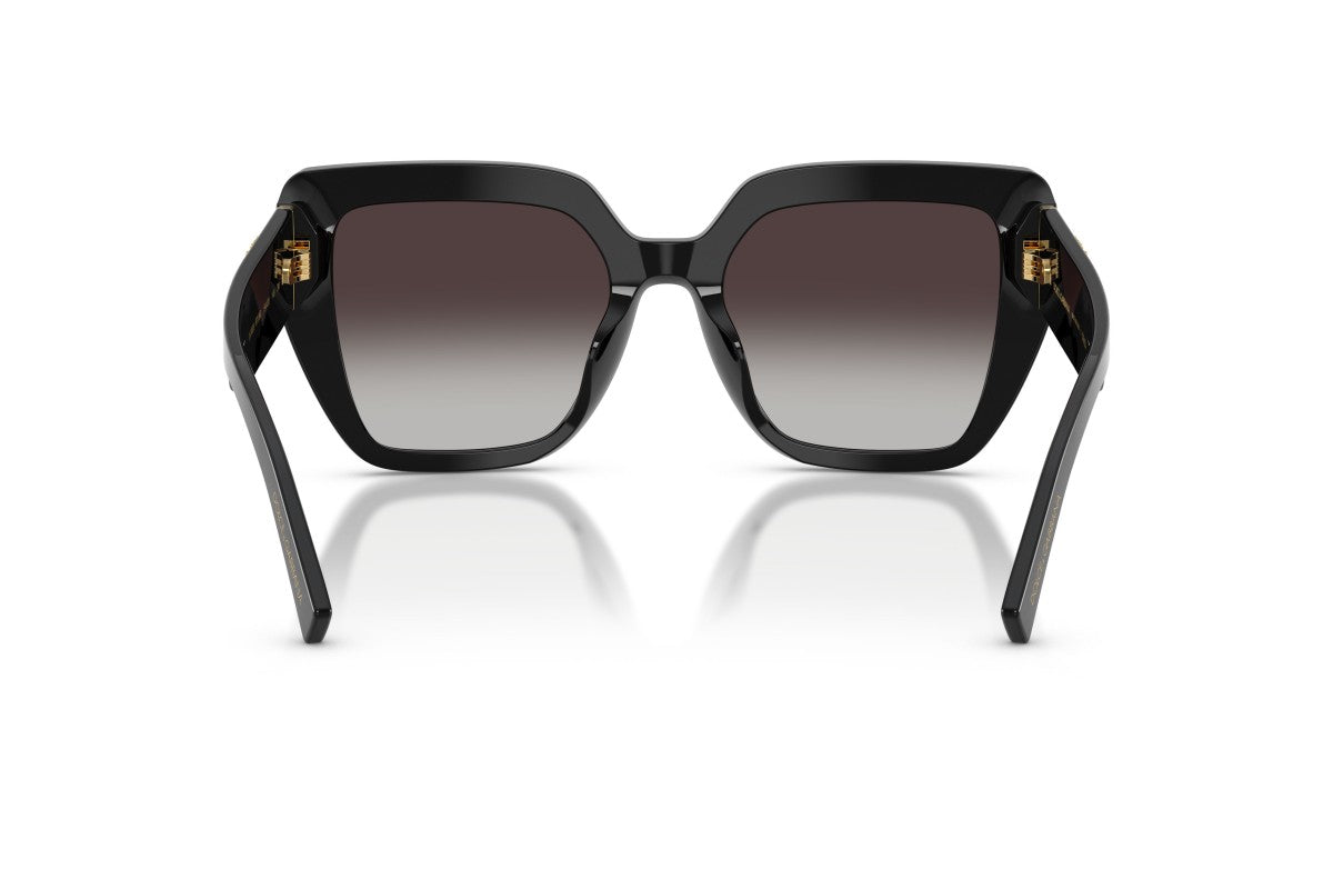 Dolce & Gabbana DG 4538