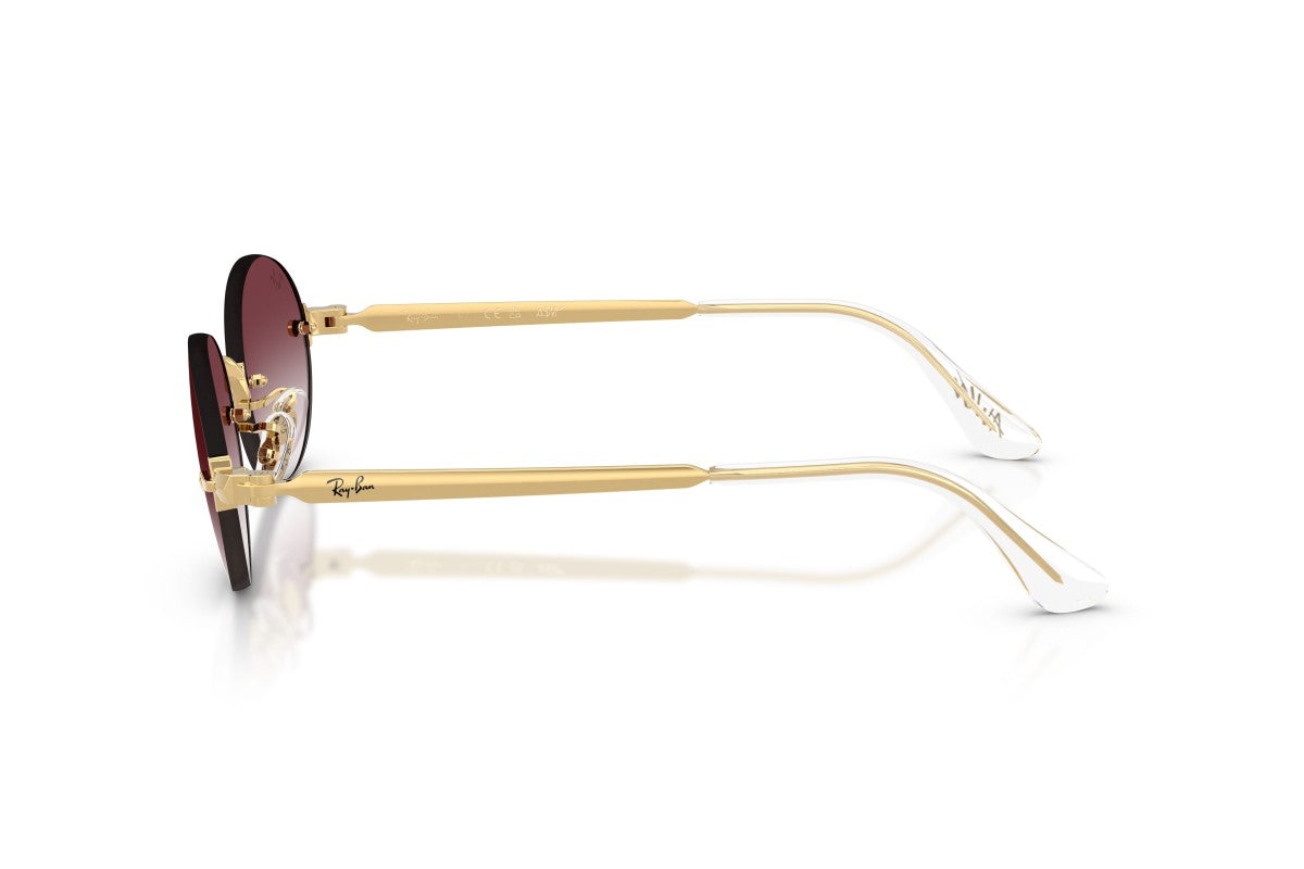 Ray-Ban by A$AP Rocky RB3929