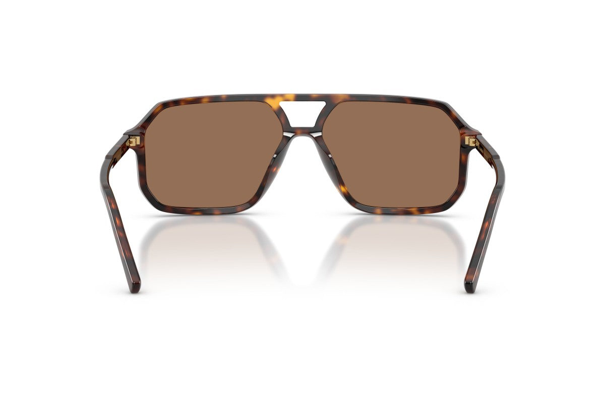 Dolce & Gabbana DG 4541