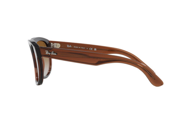 Ray-Ban RB R0501S